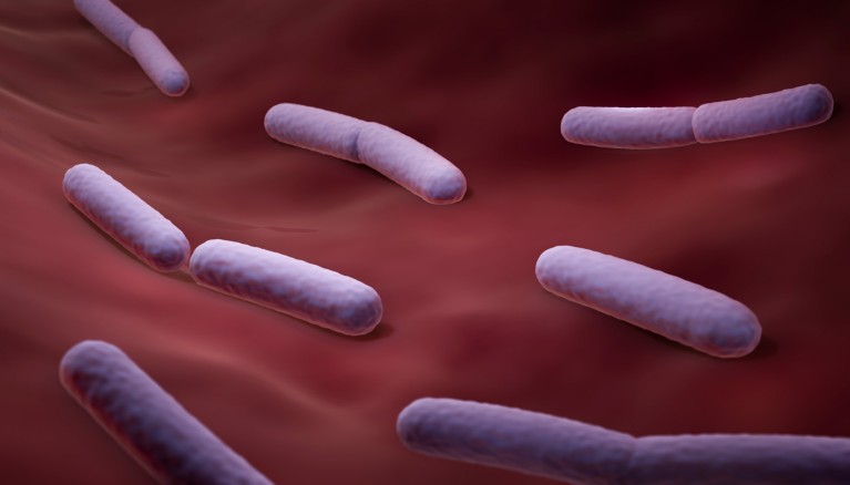 Un'illustrazione informatica dei batteri probiotici Lactobacillus mostrati in rosa su uno sfondo rosso