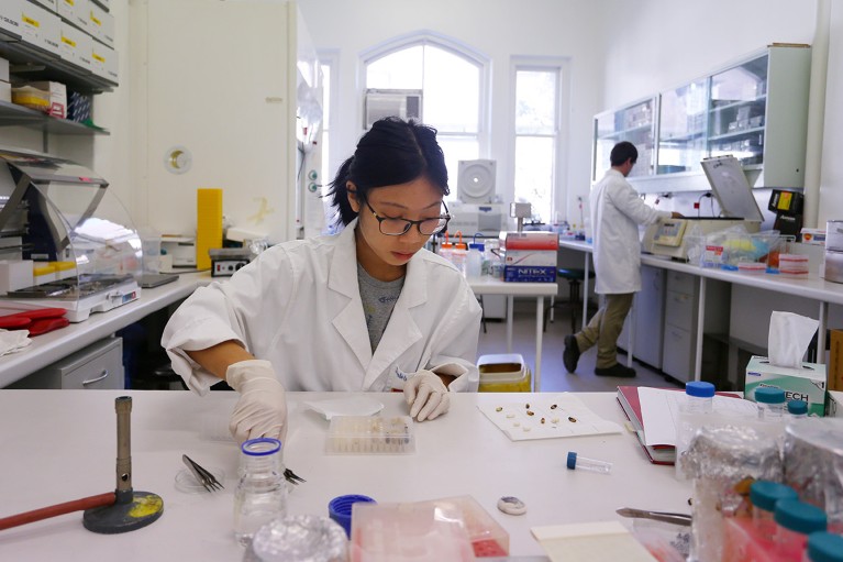 A student and a PhD candidate at work in the BEE Lab at The University of Sydney.