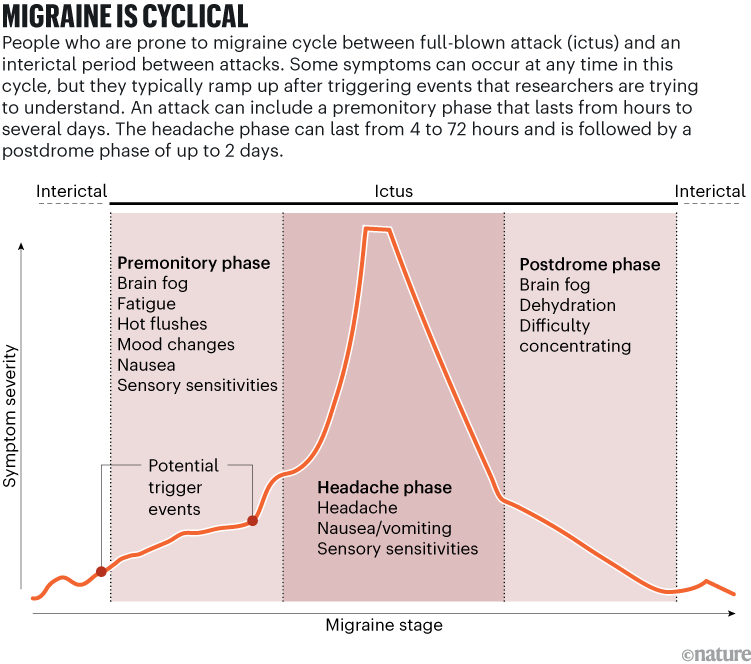 Migraine is cyclical: A line chart showing the phases of a migraine attack. Symptoms typically ramp up after trigger events that researchers are trying to understand.