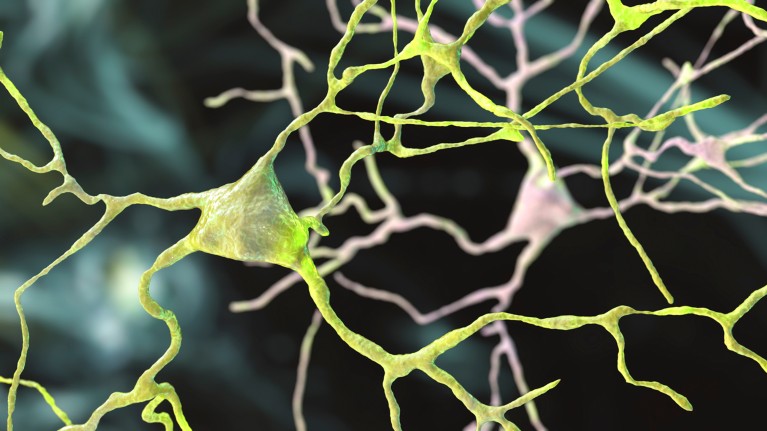 Artist's illustration of green and pink wiry looking brain cells with a blurred background