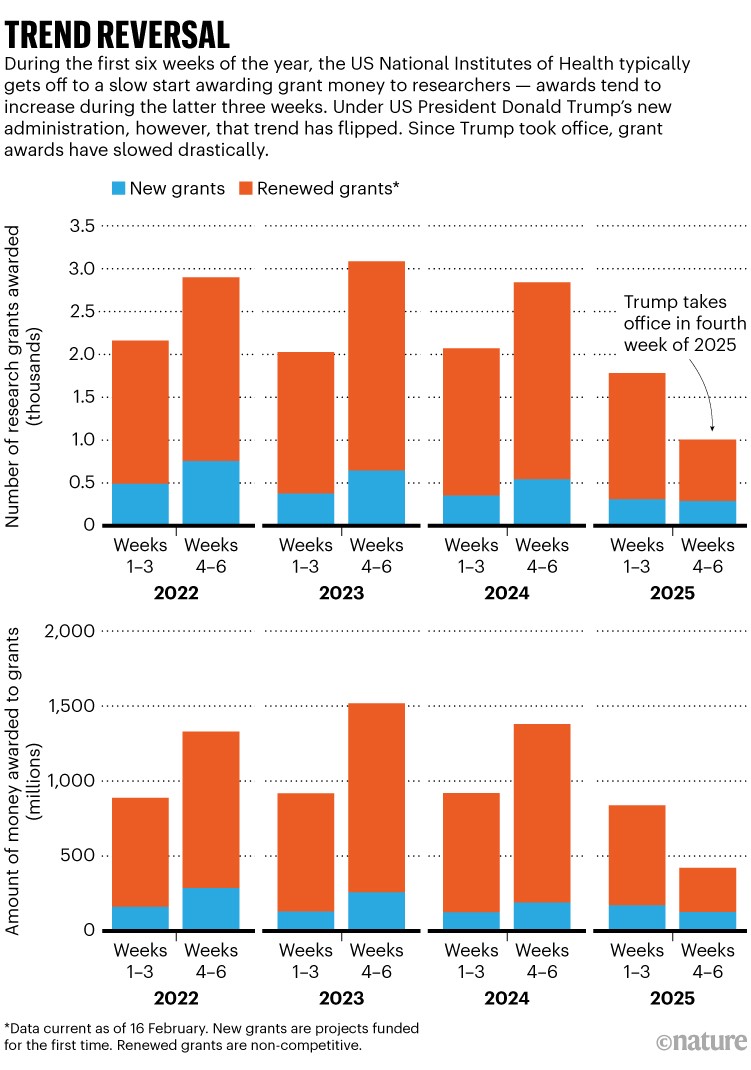 Trend reversal. During the first six weeks of the year, the US National Institutes of Health typically gets off to a slow start awarding grant money to researchers — awards tend to increase during the latter three weeks. Bar chart showing that under US President Donald Trump’s new administration, however, that trend has flipped. Since Trump took office, grant awards have slowed drastically.