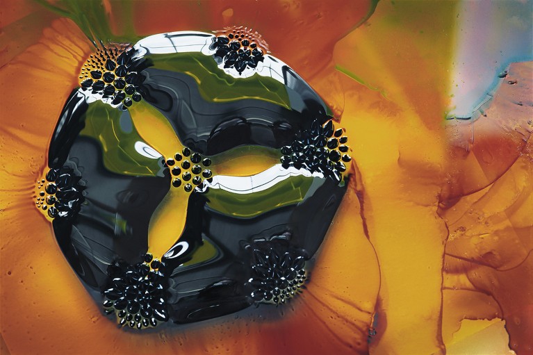 A drop of Ferrofluid was placed on a glass slide, under which are 7 circular magnets.