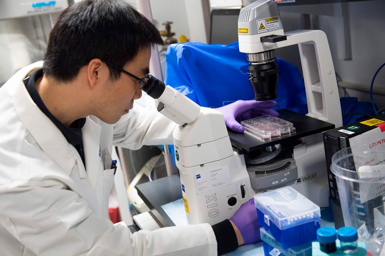 A biologist working on immunotherapy for HPV+ cancers at a National Institutes of Health laboratory.