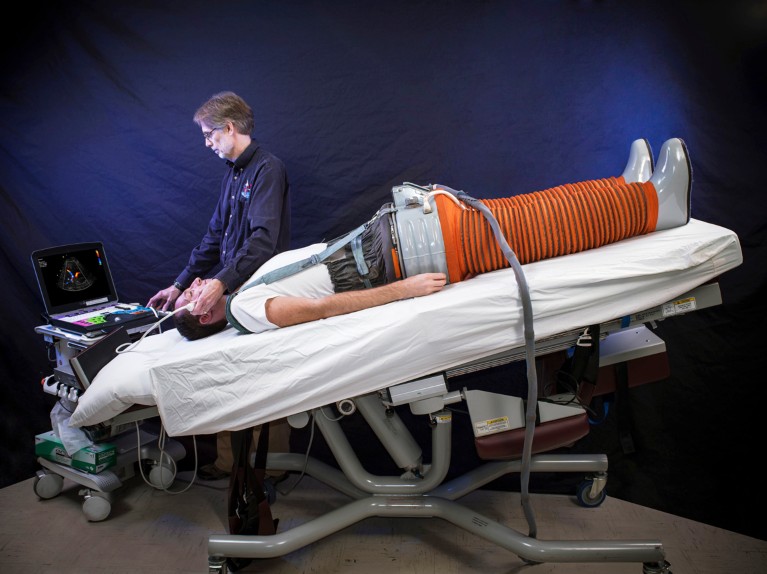 A researcher uses an ultrasound machine on a person lying almost upside down while wearing large orange mechanical trousers during fluid shift research