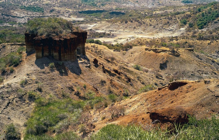 Una vista elevata della gola di Olduvai nella Great Rift Valley, in Tanzania.