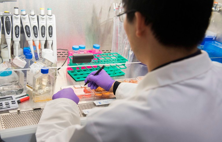 A biologist in purple latex gloves uses a pen to write on samples in a laboratory at the National Institutes of Health.