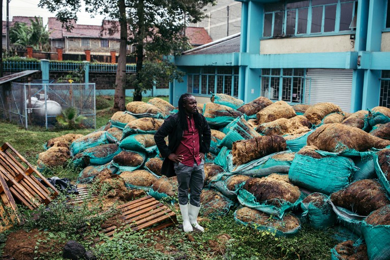 Mtamu Kililo is standing in the storage yard , surrounded by bags of natural fibers, at the MycoTile headquarters in Nairobi.