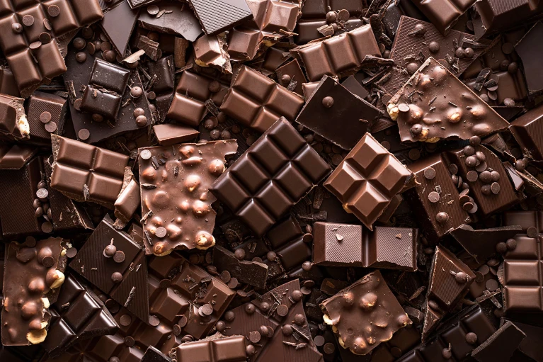 Why chocolate tastes so good: microbes that fine-tune its flavour