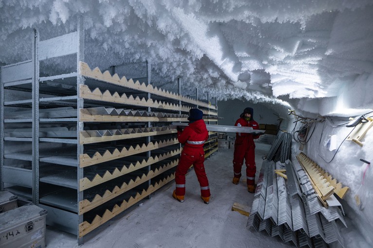Two researchers carry a newly logged ice core to a shelving unit in a storage area within the Greenland ice sheet.