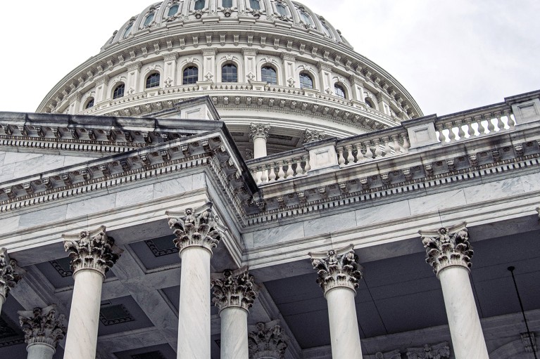 Close-up of the Capitol Building exterior in Washington, DC, U.S.