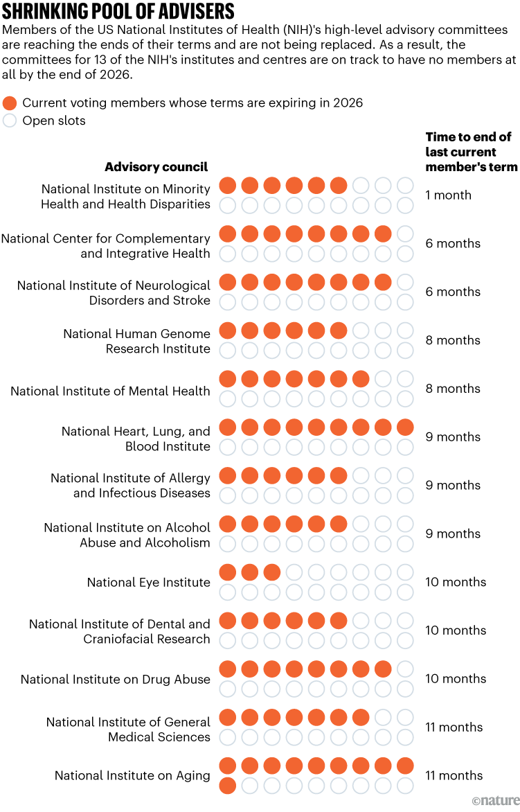 Thirteen NIH advisory councils are rapidly losing members, with all current terms expiring within the next 11 months, leaving councils with only open slots and potentially no members by the end of 2026.