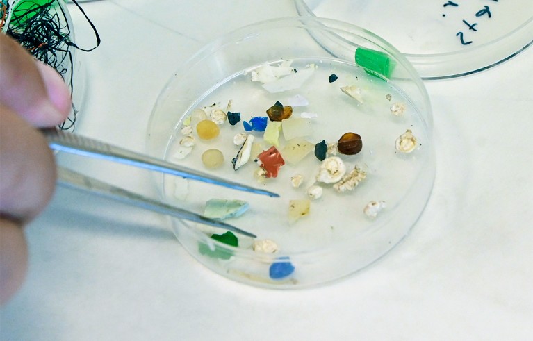 Bits of coloured microplastic in a petri dish with hand holding a tweezer near it.