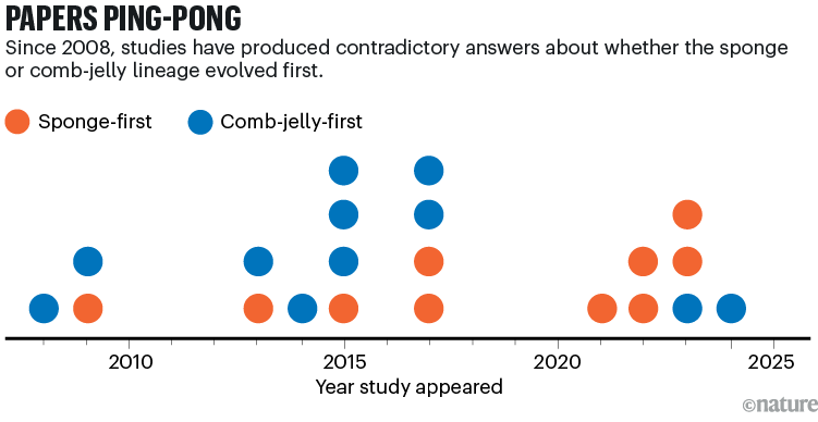 PAPERS PING PONG: A timeline dot plot showing how studies since 2008 have alternated between supporting a sponge-first and a comb-jelly-first origin of animals, highlighting ongoing disagreement in evolutionary biology.