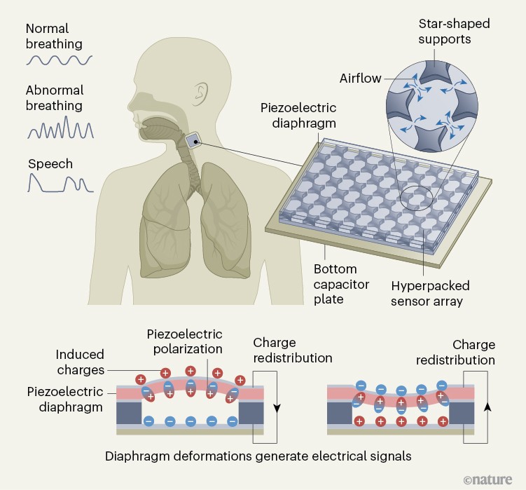 Self-powered vibration sensor for wearable health care and voice detection Self-powered vibration sensor for wearable health care and voice detection