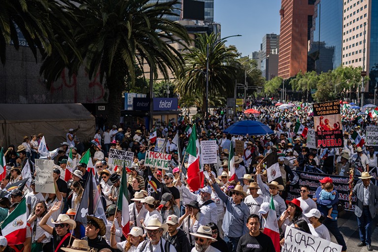 A large crowd of demonstrators fill a street lined with palm trees and tall buildings. Many of the people are carrying flags and signs.