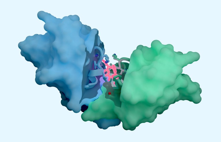 Компјутерски генерисана визуелизација структуре предвиђања интеракције протеин-протеин.