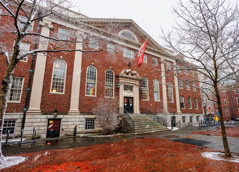 Bare trees and snow falling in front of Lehman Hall in Harvard University's Harvard Yard.