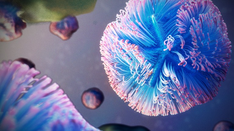 Илустрација мимивируса, приказана у ружичастој и плавој боји