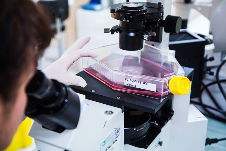 A gloved hand holds a culture flask filled with pink liquid beneath the lens of a laboratory microscope