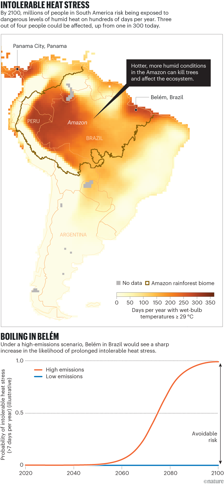 НЕТОЛЕПСИ ТОПЛОТНИ СТРЕС: мапа Јужне Америке која приказује дане у години са температурама по влажном термометру од 29 ºЦ или више. Области са највише дана екстремне врућине до 2100. укључују басен Амазона, град Белем у Бразилу и Панама Цити. КВАЊЕ У БЕЛЕМУ: линијски графикон који показује вероватноћу неподношљивог топлотног стреса у Белему, на основу сценарија високе и ниске емисије.