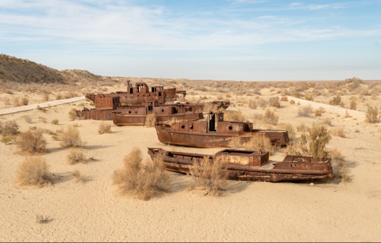 Four rusty ships among sand and dead vegetation.