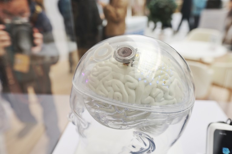 A model of a semi-invasive brain-machine interface displayed on a transparent model of a human head.