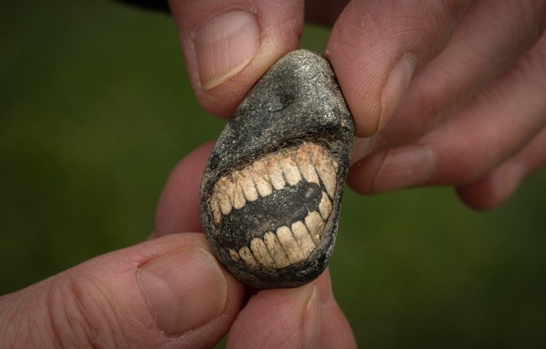 Close up view of a small grey rock inlaid with a fossil held between two hands. The white markings resemble an open mouth with a set of teeth.