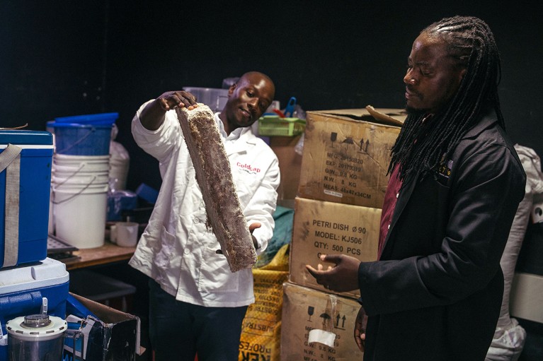 Two researchers inspect early samples of insulation panels for housing construction at MycoTile in Kenya.