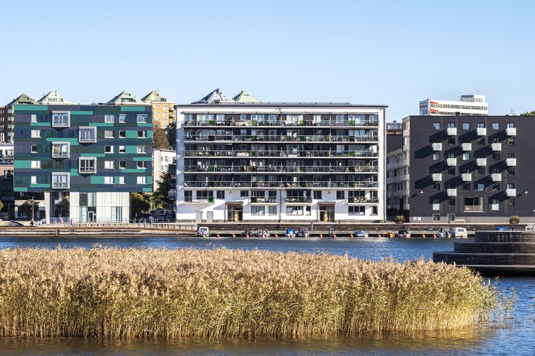 An of Stockholm, Sweden on a canal with marsh grass in the foreground and buildings that incorporate environmental balance in the background.