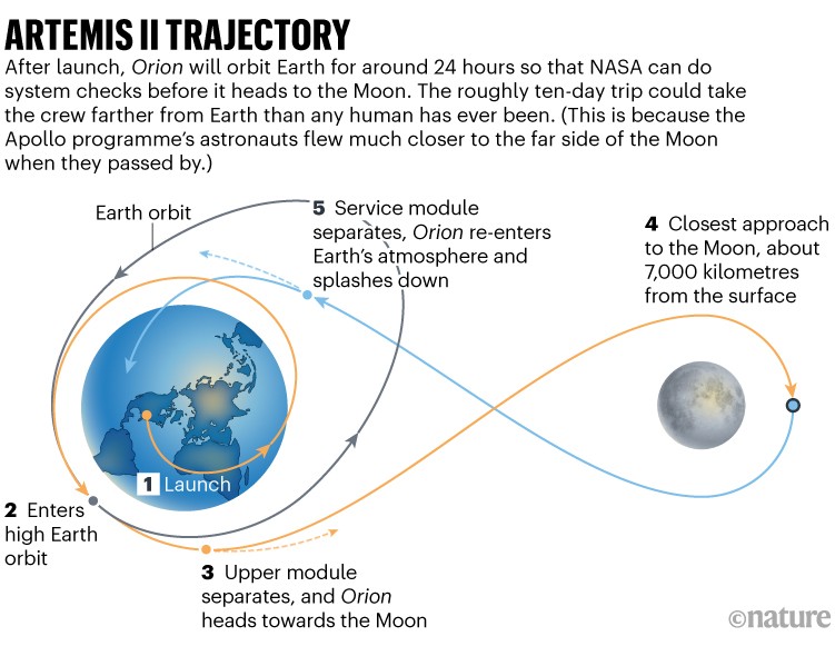 Artemis ii trajectory. Diagram showing the route the spacecraft will take in order to orbit the moon. After launch, Orion will orbit Earth for around 24 hours so that NASA can do system checks before it heads to the Moon. The roughly ten-day trip could take the crew farther from Earth than any human has ever been. This is because the Apollo programme's astronauts flew much closer to the far side of the Moon when they passed by.