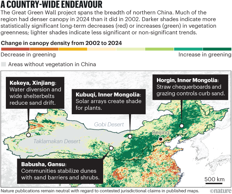 Map of northern China showing changes in vegetation canopy density from 2002 to 2024 linked to the Great Green Wall project. Green indicates increased greening and red indicates decreased greening, with darker colours showing more significant change. Most areas show widespread greening. Labelled sites highlight local interventions in Xinjiang, Inner Mongolia and Gansu. Non‑vegetated areas are shown in grey, with a 500‑kilometre scale bar.