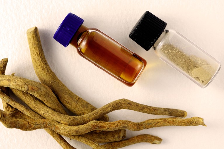 A close-up of ibogaine root and two blue-capped clear bottles of ibogaine liquid and powder.