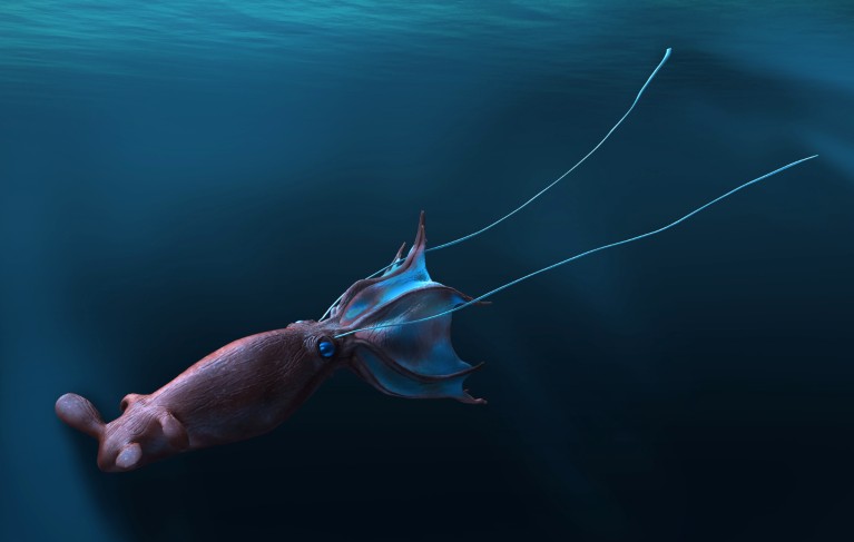 Illustration of a Nanaimoteuthis sp. extinct cephalopod, swimming in dimly lit waters of a prehistoric sea, showing feeding tentacles extended.