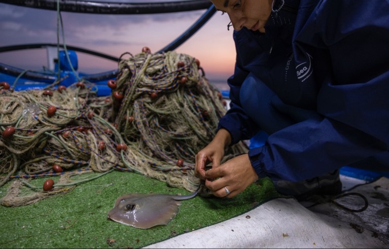 Roxani on the boat handling a fishing net tangled on a ray's tail with a pile of nets in the background.