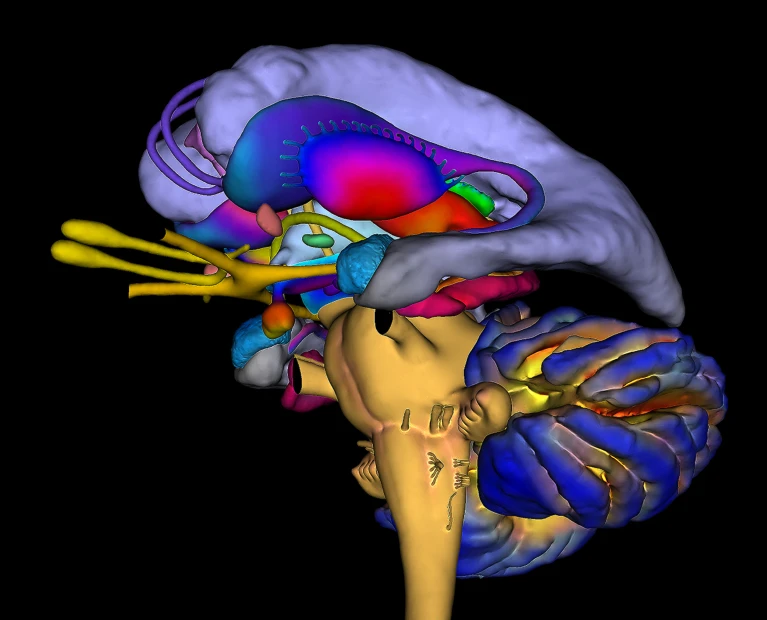Stress impairs your brain’s ability to link memories — dampening insight