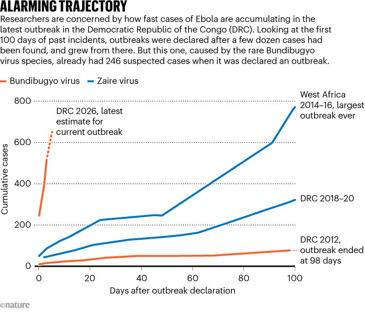 ALARMING TRAJECTORY. Graphic shows the cumulative cases of different Ebola virus outbreaks over their first 100 days. It highlights a particularly sharp rise in the recent DRC 2026 outbreak caused by the rare Bundibugyo virus.