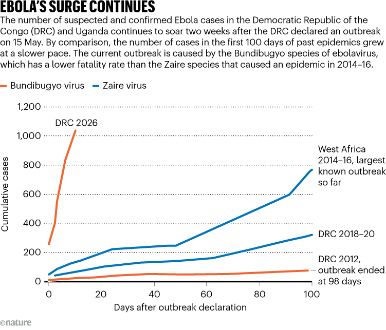 EBOLA'S SURGE CONTINUES. Graphic shows the cumulative cases of different Ebola virus outbreaks over their first 100 days. It highlights a particularly sharp rise in the recent DRC 2026 outbreak caused by the rare Bundibugyo virus.