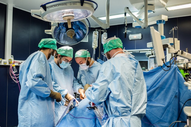 Surgeons in blue sterile gowns, masks and caps perform a kidney removal surgery on a patient in a hospital operating room, working under large overhead surgical lights while medical equipment, monitors and IV bags surround the operating table