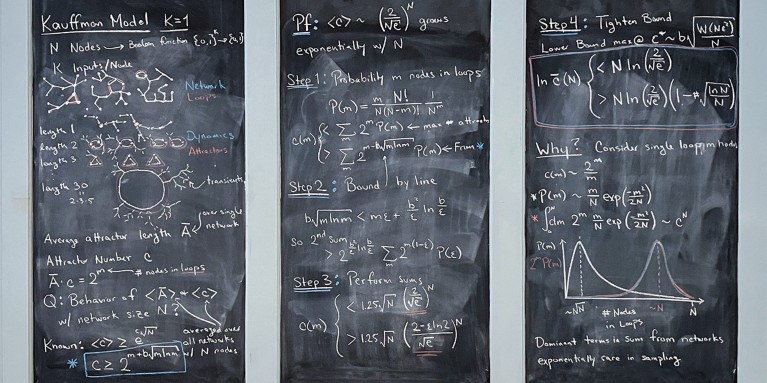 A blackboard with chalk-written solutions to the Kauffman model, located in Michael Faraday’s former study at the London Institute for Mathematical Sciences.