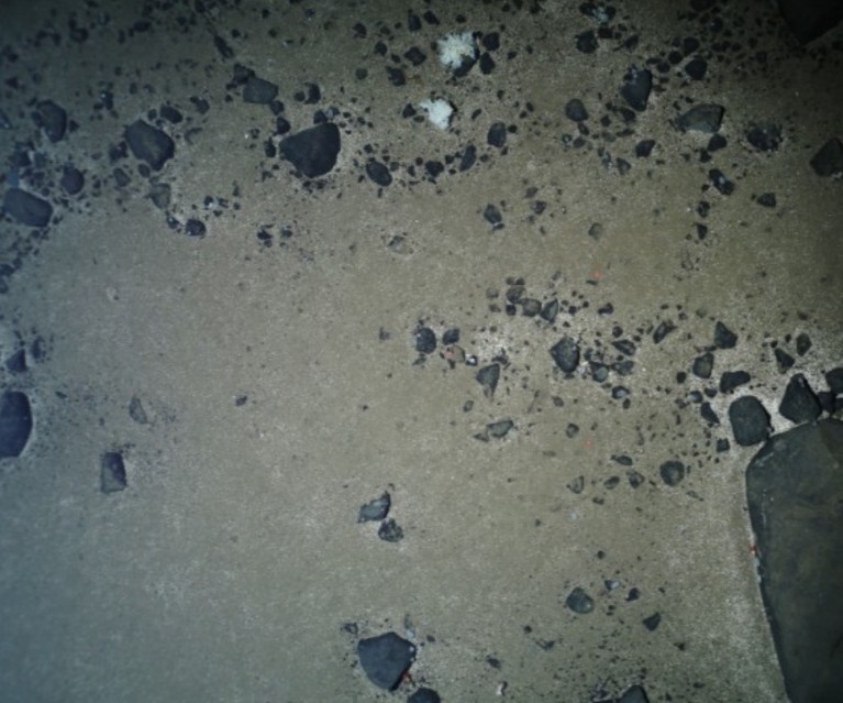 Deep-sea imagery of the seafloor showing dark grey stones of varying sizes
