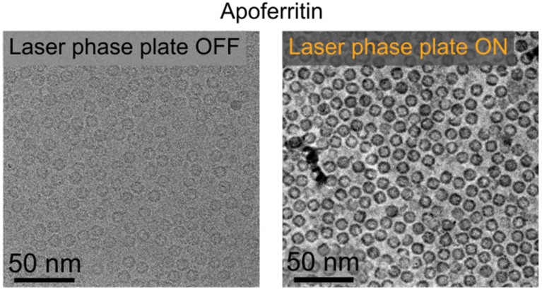 A composite of two Cryo-EM images of the iron storage protein apoferritin, without and with a laser phase plate.