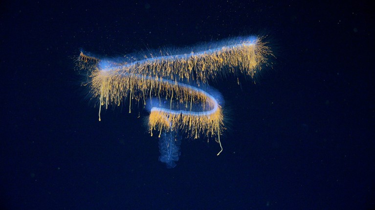 A blue fluorescent track forms an upside down 2.