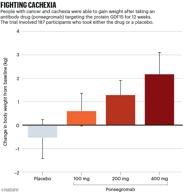 Fighting cachexia: Bar graph illustrating that cancer patients with cachexia gained weight after a targeted antibody drug treatment.