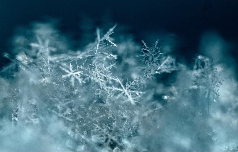 Close-up view of delicate snowflakes with intricate crystal structure on soft blurred background.