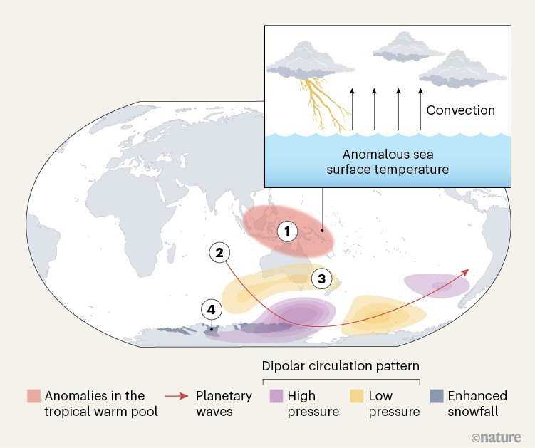 Global map illustrating an atmospheric teleconnection in which unusually warm tropical western Pacific waters trigger convection and planetary waves, creating alternating high and low pressure over the Southern Ocean that increase snowfall in East Antarctica and slow Antarctic ice mass loss.