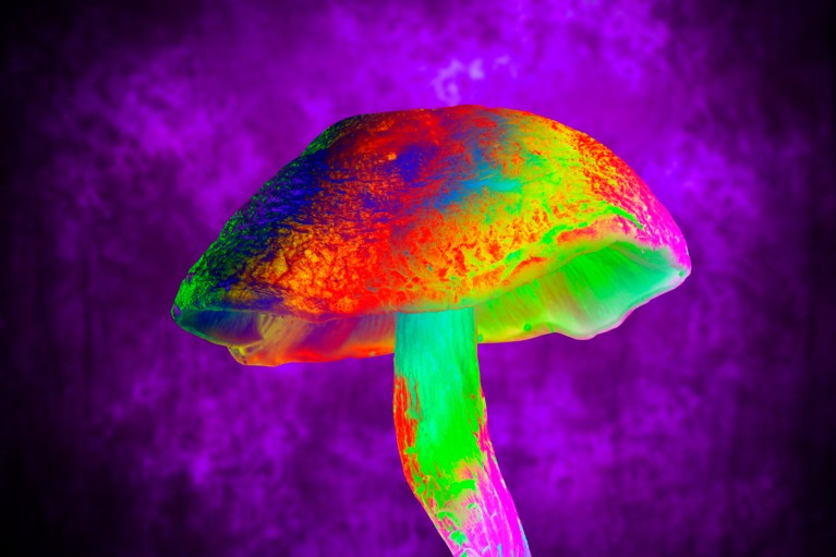 ウィッチヘーゼルとキノコの組み合わせは、マウスの化学療法の重篤な副作用をブロックします