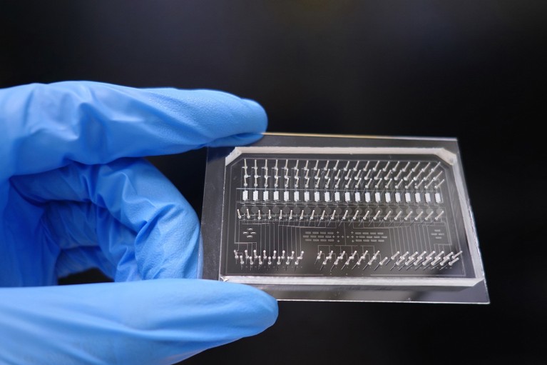 SciProChip being held between thumb and forefinger on a black background.