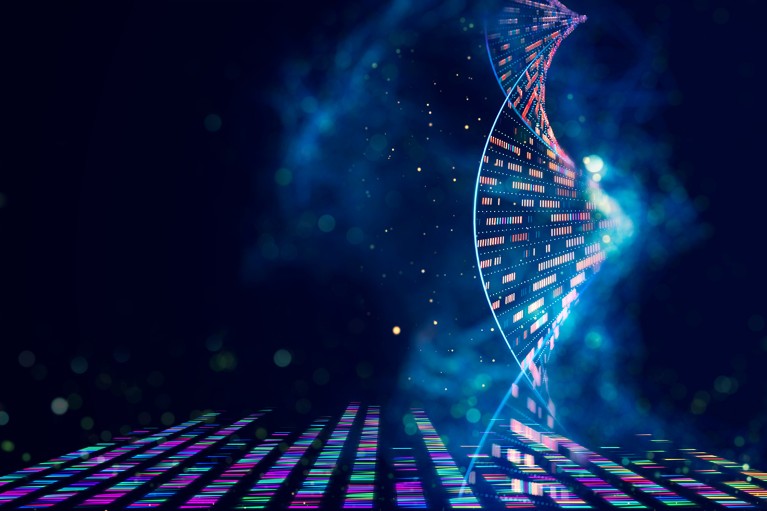 ژنوم انسان از حدود ۳ میلیارد باز یا حرف DNA تشکیل شده است.