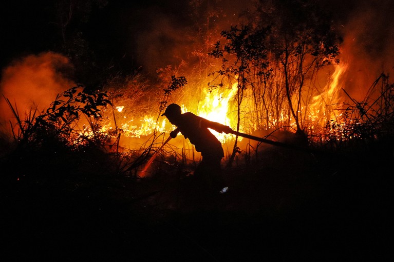 A firefighter, silhouetted against a night-time blaze, uses a hose to combat a forest and land fire.