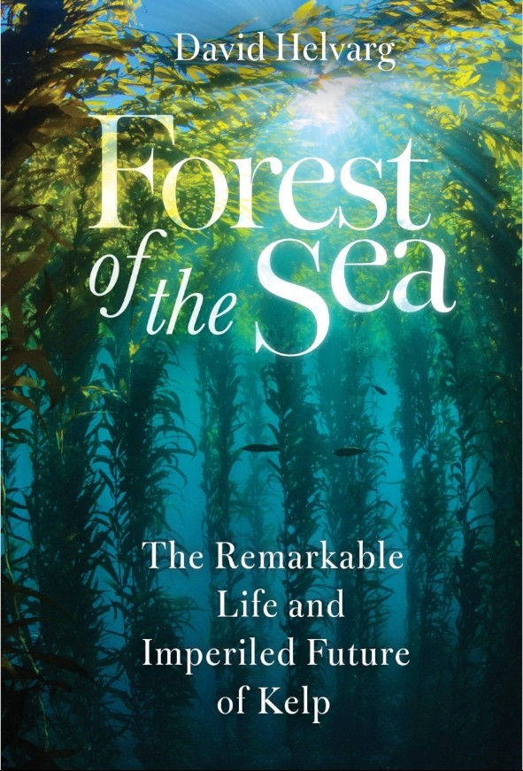 Sea Forest book review about cold-water kelp forests